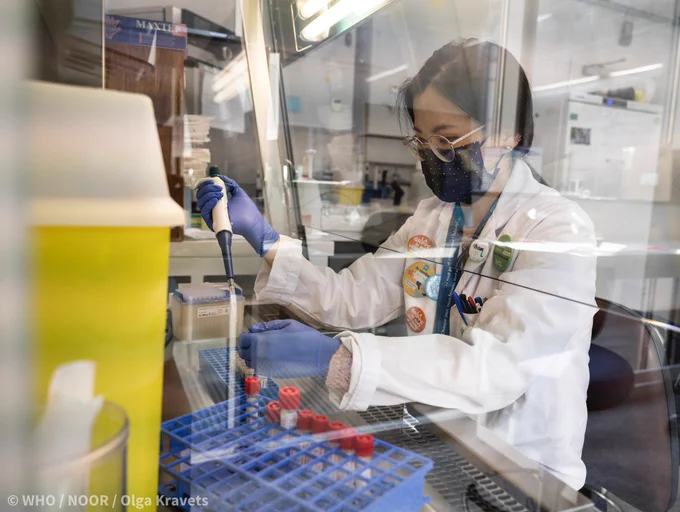 Laboratory technician Nomin handles respiratory specimens received from surveillance in the general population under a biosafety cabinet. These specimens will be screened for several respiratory pathogens.