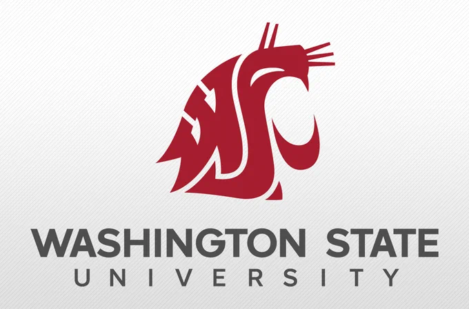 Gray background with crimson W S U spirit logo in the top center. Below is gray text Washington State University. 