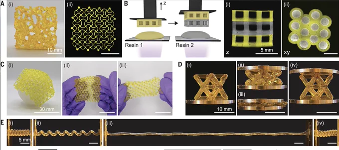 A) (i) Photograph of trabecular bone structure and (ii) fluorescence micrograph of auxetic patch fabricated through CLEAR. Scale bars, 10 mm. (B) Multimaterial CLEAR printing through the switching of liquid resins and visualized with different fluorescent tracers (yellow and gray). Fluorescence micrographs of a multimaterial hydrogel in the shape of (i) a lattice (z direction) and (ii) an axial patch (xy direction). Scale bars, 5 mm. (C) Photograph of stiff hydrogels processed into porous, flexible patches that (i) conform to an underlying curved substrate and (ii and iii) are extensible. Scale bars, 30 mm. Shape recovery without permanent deformation demonstrated through (D) (i to iv) compression of auxetic octet-truss lattice and (E) (i to iv) stretching of 3D coil. Scale bars, 10 (D) and 5 mm (E). 