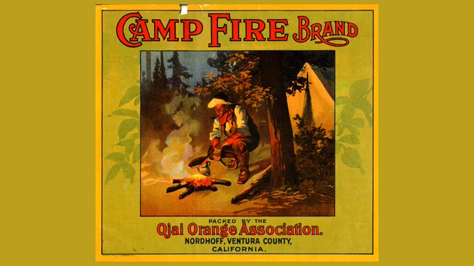 Illustration of a camper wearing a hat and bandana leaning over a campfire with a frying pan, next to a tree with a tent in the background. Green and yellow background frame, with red an black title Camp Fire Brand, packed by the Ojai Orange Association, Nordhoff, Ventura County, California.