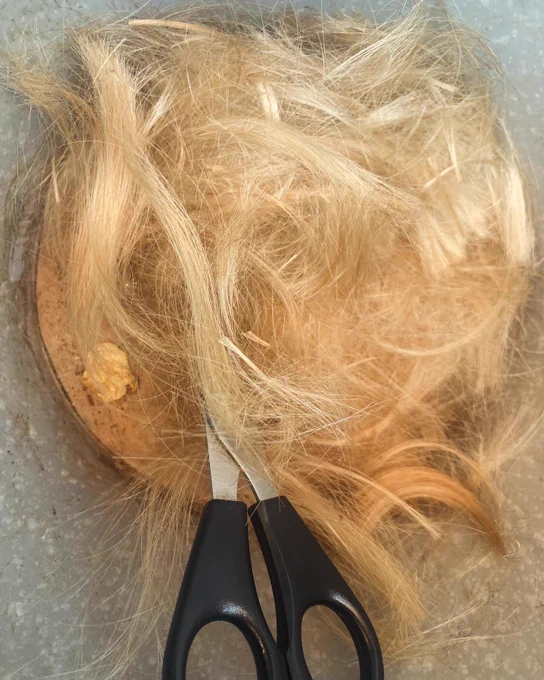 Blonde abgeschnittene Haarsträhnen in einem Eimer