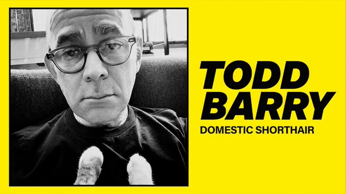 Poster for Todd Barry’s comedy special Domestic Shorthair