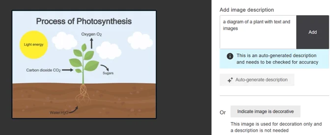 Alternative text
Process of Photosynthesis. The plant takes in water through its roots, carbon dioxide and light energy through its leaves. The leaves release oxygen into the air and generate sugars as part of the process.
Ally suggests "A diagram of a plant with text and images".
