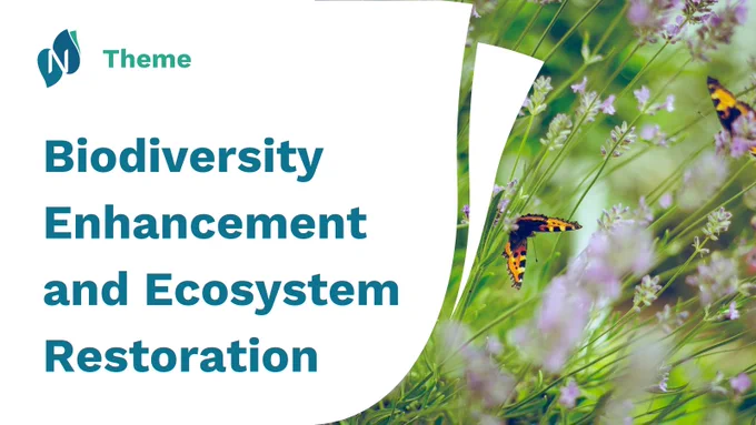 Theme: Biodiversity enhancement & ecosystem restoration