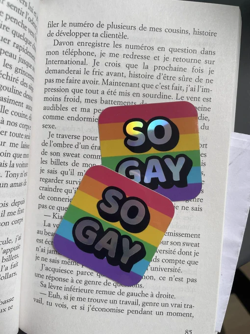 photo de deux autocollants arc-en-ciel sur lesquels il est écrit SO GAY