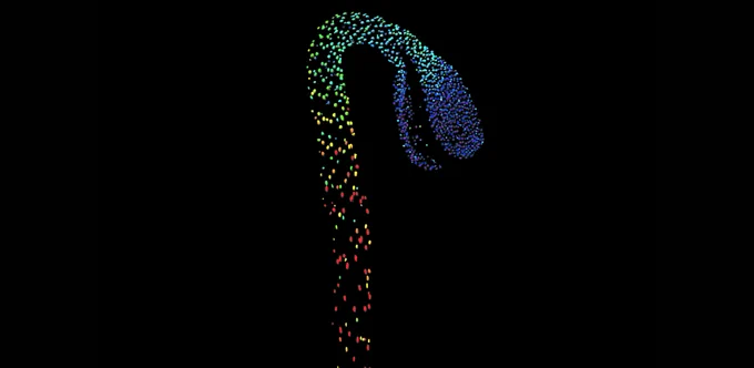 A fluorescent biosensor for GA hormone detected using a confocal microscope (from low - blue, to high - red)