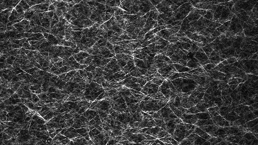Collagen network from our group using 2 Photon microscopy