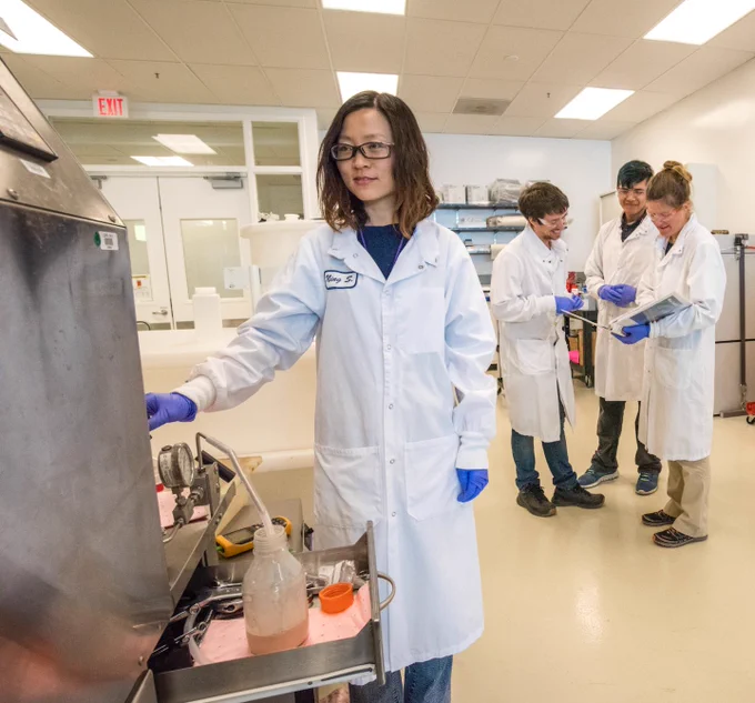 Ning Sun uses equipment that opens microbial cell walls and membranes so the product inside can be collected, while Dr. Allison Pieja and other Mango Materials team members evaluate data.