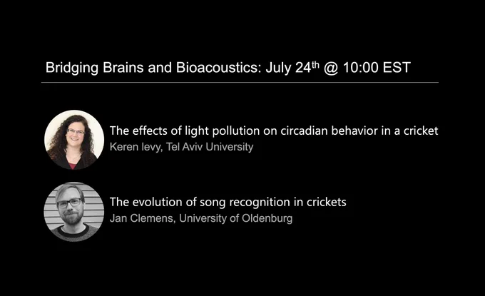 Bridging Brains and Bioacoustics Seminar on July 24th, 2024 at 10:00am EST

From Keren Levy: The effects of light pollution on circadian behavior in a cricket
From Jan Celemens: The evolution of song recognition in crickets