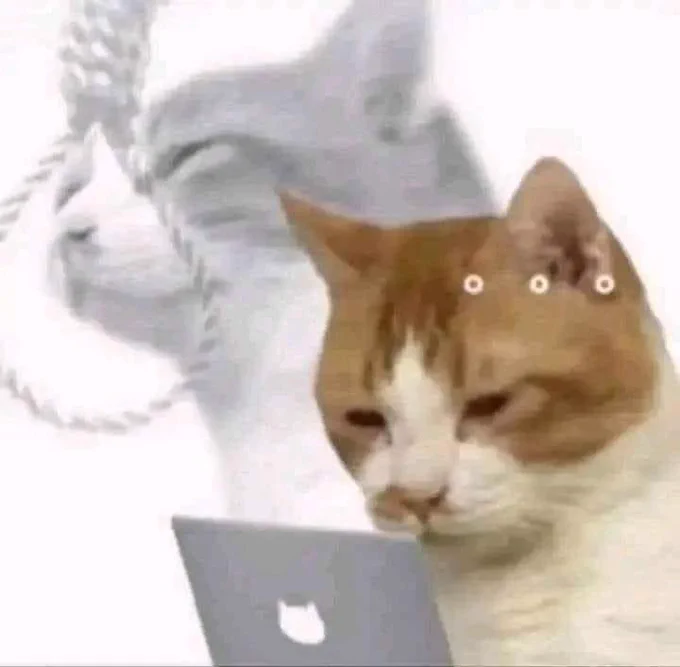 Un gato con expresión confusa mira su ordenador portátil (tiene en lugar de la manzana de logo, un gato). A su lado en blanco y negro, el mismo gato pero triste acercando la cabeza hacia una soga.