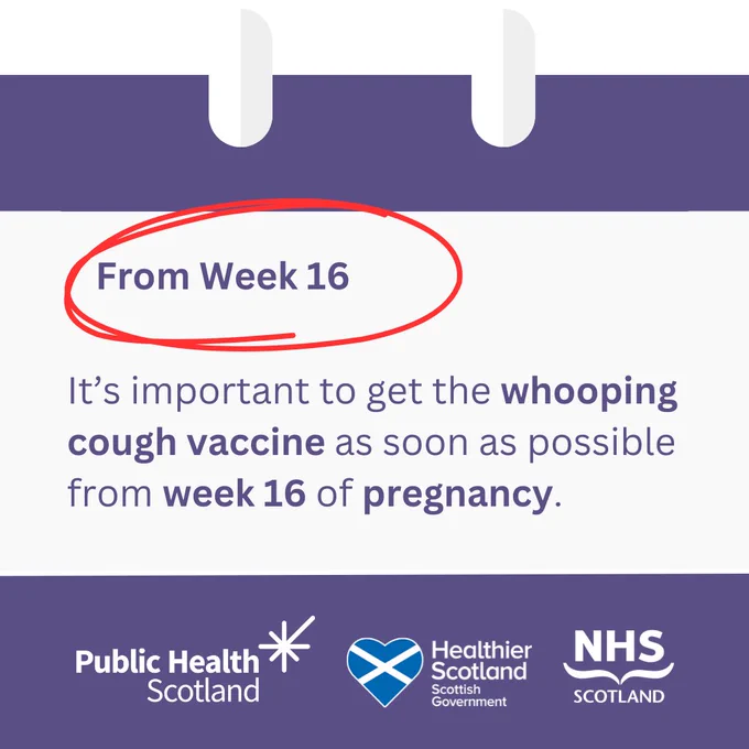 The words ‘from week 16’ are circled in red to highlight the importance of the week on a calendar. The text underneath reads ‘it’s important to get the whooping cough vaccine as soon as possible from week 16 or pregnancy’. The words ‘whooping cough vaccine’, ‘week 16’ and ‘pregnancy’ are in bold. Image is branded with Public Health Scotland, Healthier Scotland Scottish Government and NHSScotland logos.