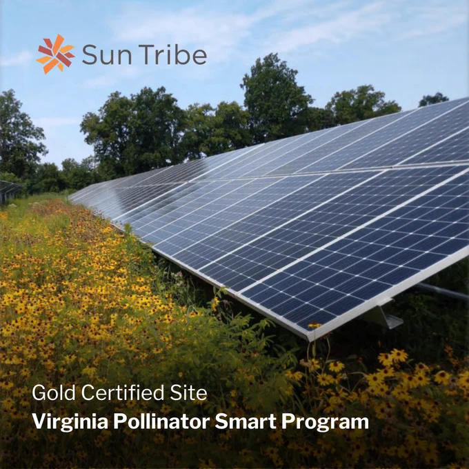 An image of a large solar panel in a field with wildflowers has a Sun Tribe logo. Text says "Gold certified site, Virginia Pollinator Smart Program"