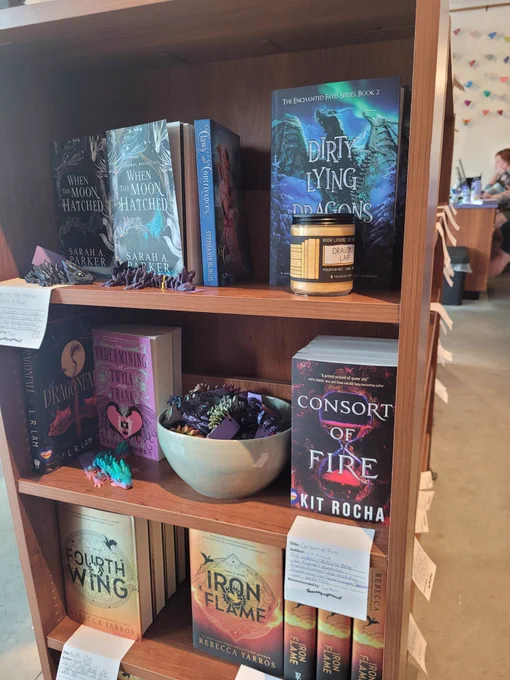 Book shelf with books about dragons in each shelf and little dragons by the books. 