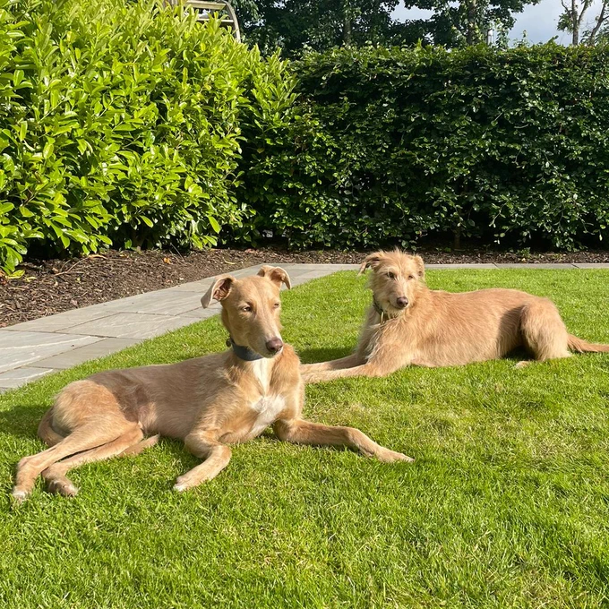 Molly and Huck enjoying the start of the summer holidays