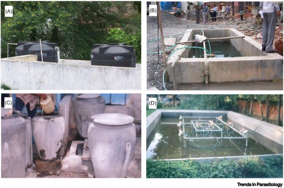 Water containers showing breeding sites in India