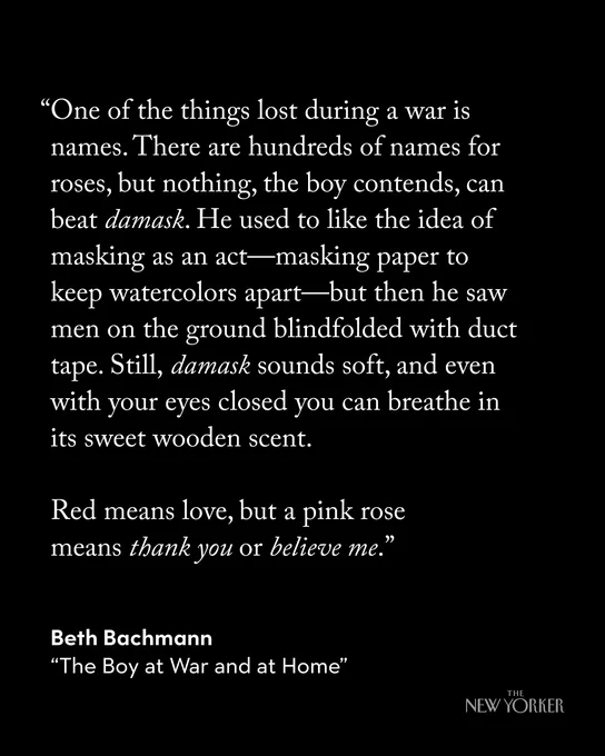 An excerpt from “The Boy at War and at Home,” by Beth Bachmann.