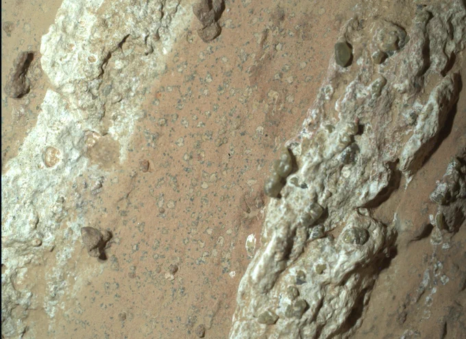 A very close-up shot taken by NASA's Perseverance Mars rover overlooking its workspace where it collected a rock sample. This close up shot shows an array of white, brown, and black colors on this unique rock. 