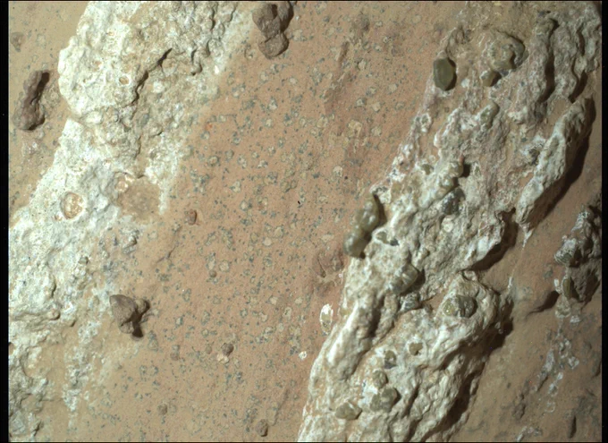 A very close-up shot taken by NASA's Perseverance Mars rover overlooking its workspace where it collected a rock sample. This close up shot shows an array of white, brown, and black colors on this unique rock. Credit: NASA/JPL-Caltech/MSSS