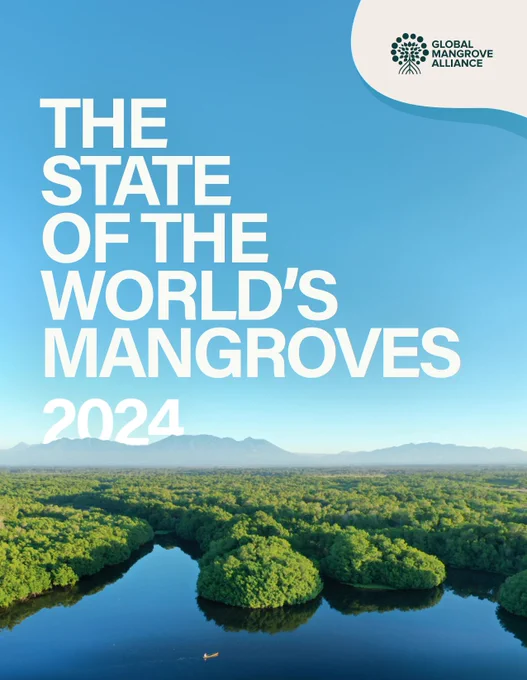 Cover of report "The State of the World's Mangroves 2024". Text overlays an aerial image of mangrove forest, waterway, and mountains.