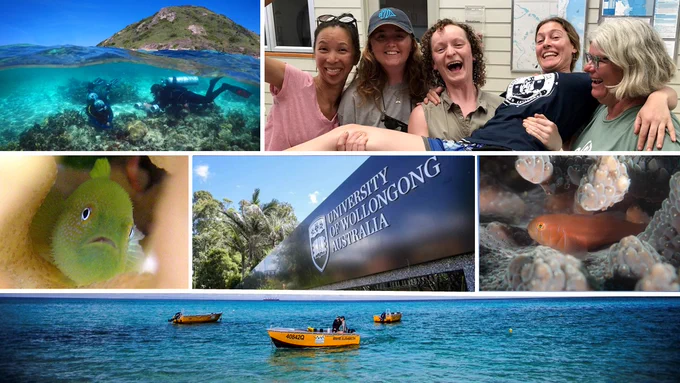 Photo collage showing underwater fieldwork at Lizard Island Research station, some Fish Lab members having fun, coral-gobies in their corals, University of Wollongong sign and research boats at Lizard Island.