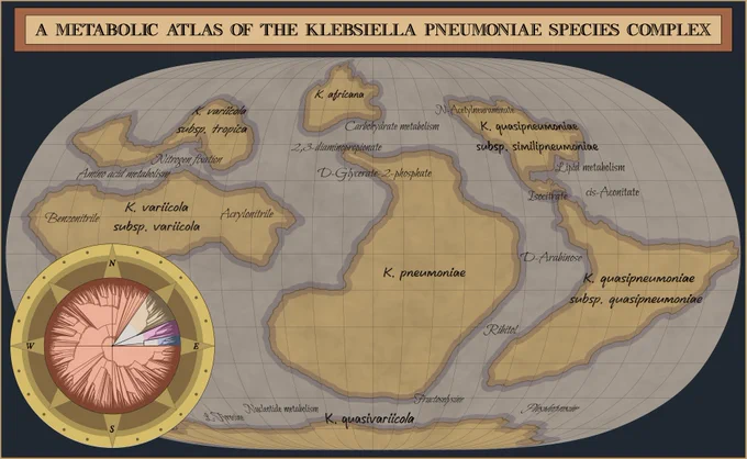 This map is not a scientific diagram but a themed design choice. Paper contains actual data and figures.