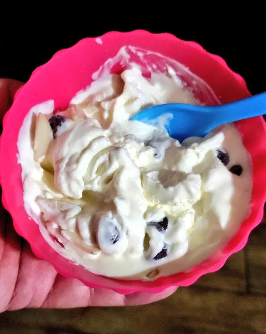 Homemade vanilla ice cream with dark chocolate chips & silvered almonds in a red ice cream cup & blue spoon.