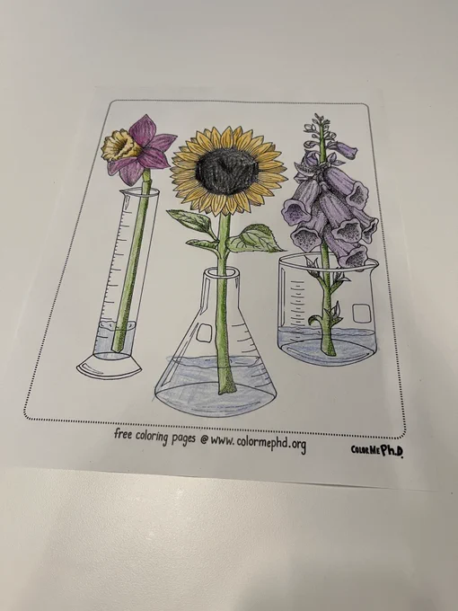 A coloring book page showing flowers in test tubes and cylinders 