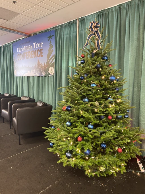 A decorated Christmas Tree on a stage.