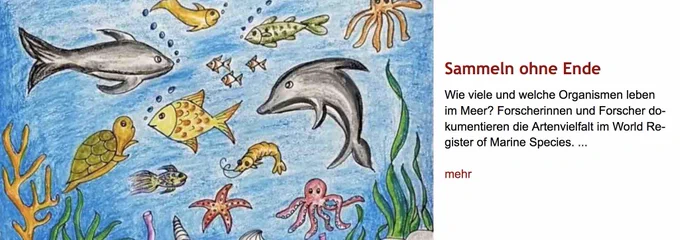 Buntstfitzeichnung von allerlei schwimmendem Meeresgetier. Rechts daneben Überschrift "Sammeln ohne Ende" sowie Vorspann des im Post verlinkten Artikels.