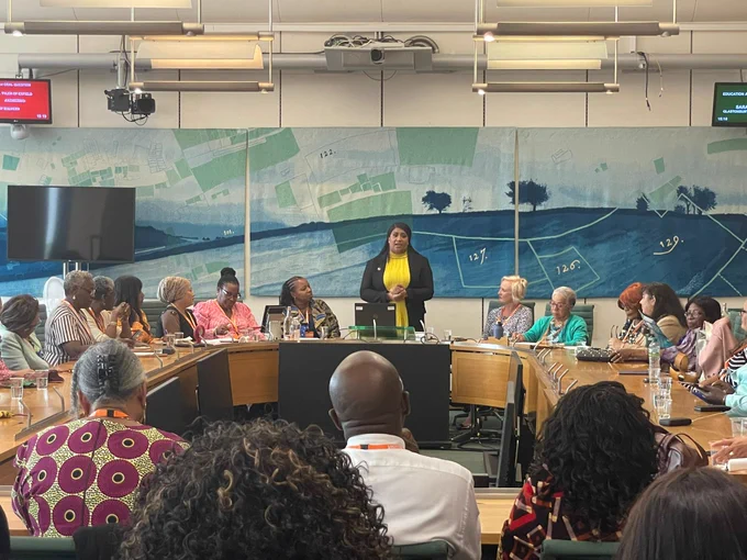 A view of the packed out committee room, taken from behind the audience who are seated on rows of chairs facing a large roundtable, listening to Bell speaking at the front of the room.