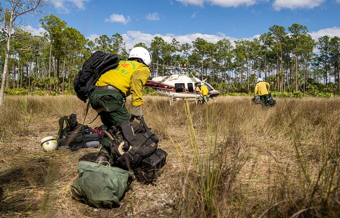 A wildland firefighter slings one bag over his shoulder and grasps another in his hand as he crouches, preparing to approach a helicopter. Other bags are strewn on the ground at his feet. A helicopter is parked in a field of dry grass just ahead of him, and two other firefighters are approaching with their own bags. The field is bordered by green pine and palm tree under a sunny blue sky. Phot by Michael Gue, NPS.