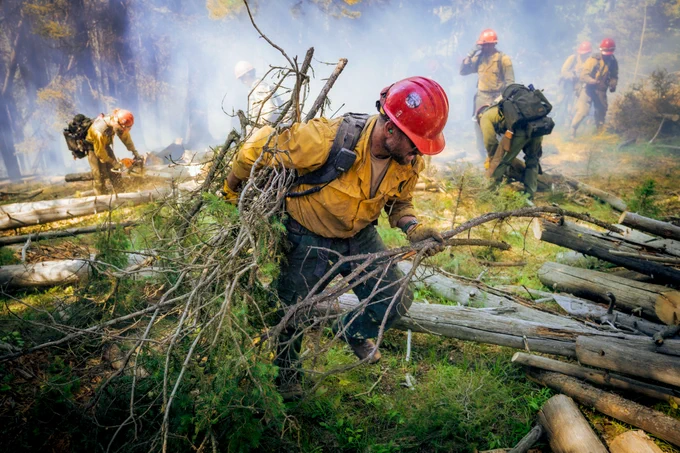 A wildland firefighter carries a pile of cut tree branches over ground strewn with fallen tree trunks. Behind him, another wildland firefighter cuts a fallen tree with a saw, another bends to lift a segment of a tree, and others walk through the area or stand and rest. The trees behind the clearing are hazy with smoke and the dim figure of other firefighters is just visible in the trees. Rays of sunlight slant through the smoke, illuminating it. Photo by BLM.