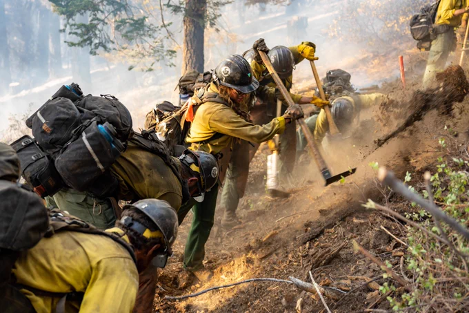The Ruby Mountain Hotshots forcefully dig and throw dirt with hand tools and bend to clear away vegetation as they prepare a fire line on a slope during the Dixie Fire. The forest behind them is hazy with smoke. Photo by Joe Bradshaw, BLM.