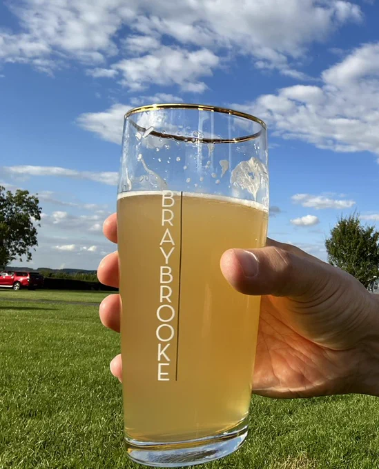 Glass of beer in the sunshine