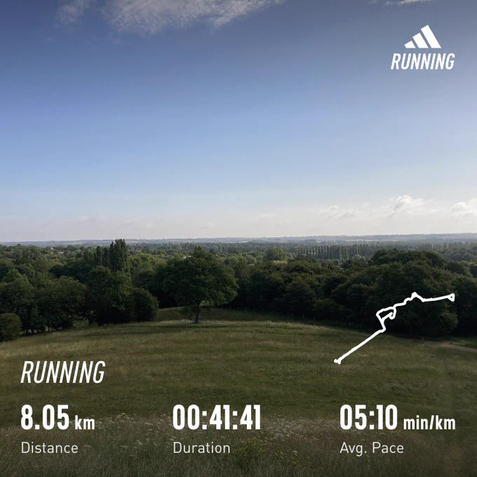 View from grassy hill over wooded park; running stats superimposed (distance=8.05km, time=41:41)