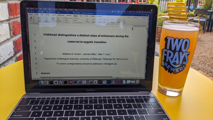 Laptop screen showing a manuscript in progress; and beer