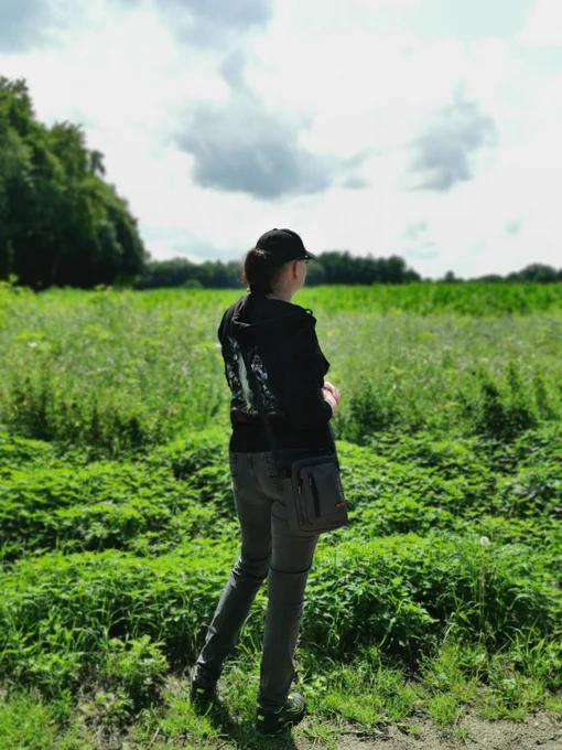 Frau Schaf vor einer Wiese stehend. 