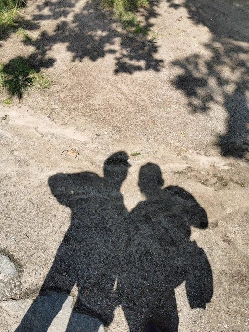 Herr und Frau Schaf als Schatten. 