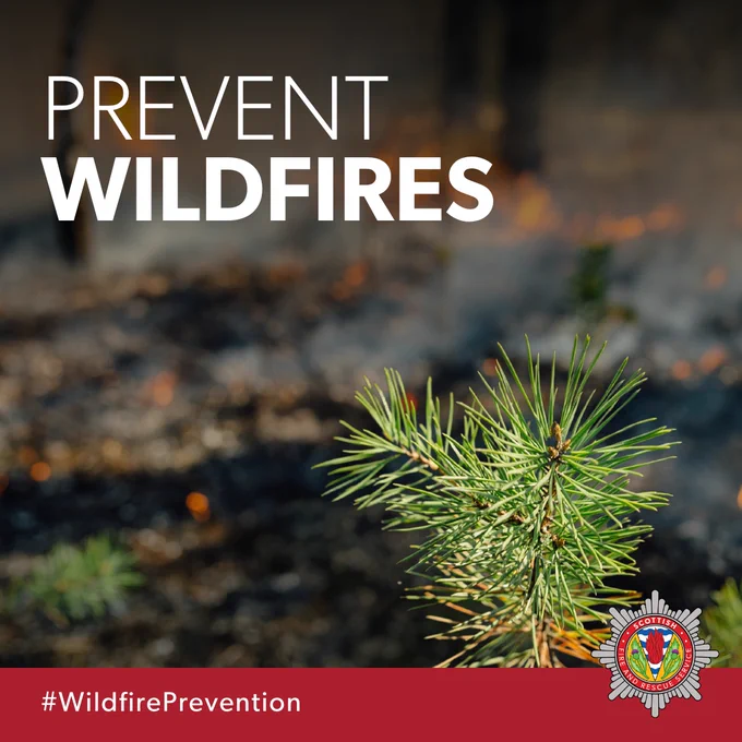 The image shows a pine sapling with fire burning on the ground in the background and the words PREVENT WILDFIRES, Scottish Fire & Rescue Service logo and the hashtag #WildfirePrevention