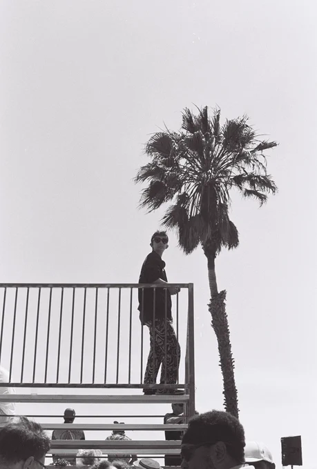 Black and white photo of me standing on some bleachers watching the AidsLifeCycle bikers, crowd below me and palm tree in the background. 
