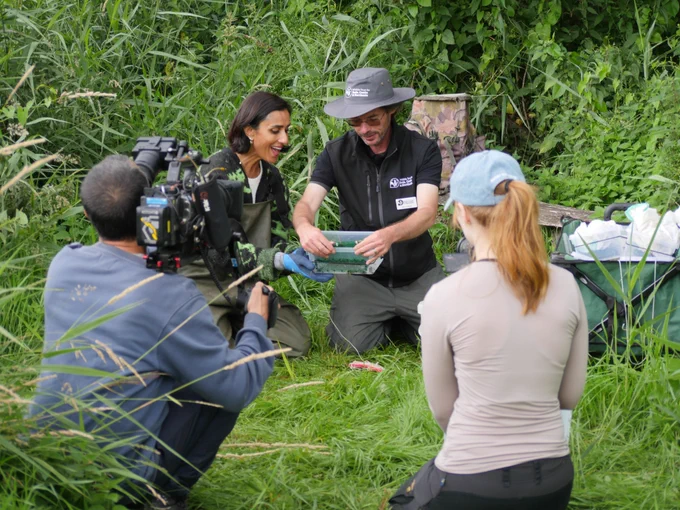 Presenter Anita Rani looking at water beetles in a monitoring trap with Henry Stanier, being filmed by a cameraman and overseen by a producer
