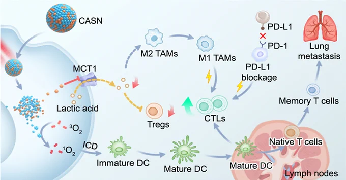TOC image from the article