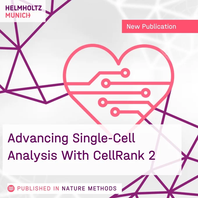 Advancing Single-Cell Analysis With CellRank 2