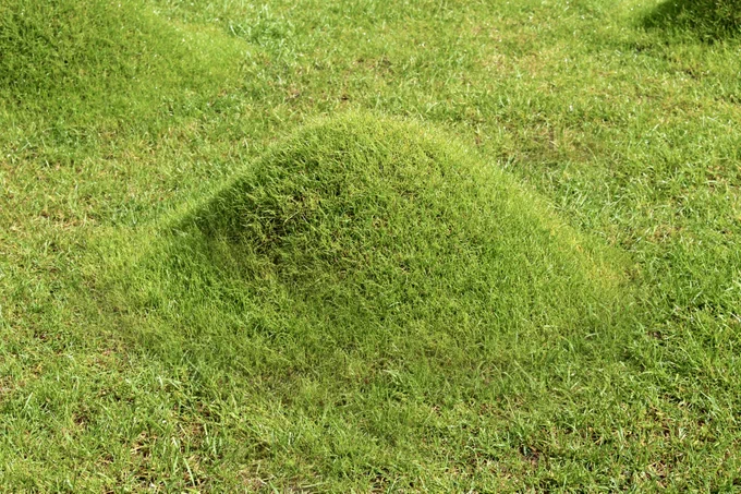 A raised hump in grass to resemble a small hill