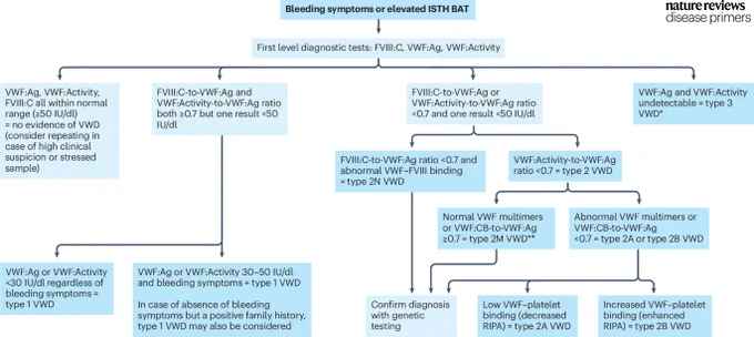 Diagnostic algorithm of von Willebrand disease (VWD).