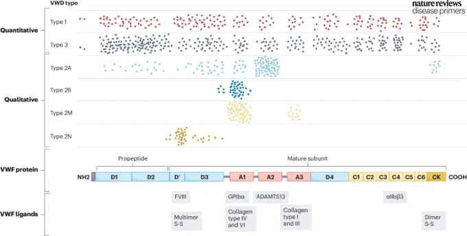 Graphic showing the domain distribution of all pathogenic variants reported in von Willebrand disease (VWD).
