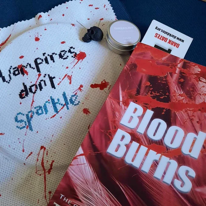 Copy of Blood Burns and a cross-stitch that says vampires don't sparkle