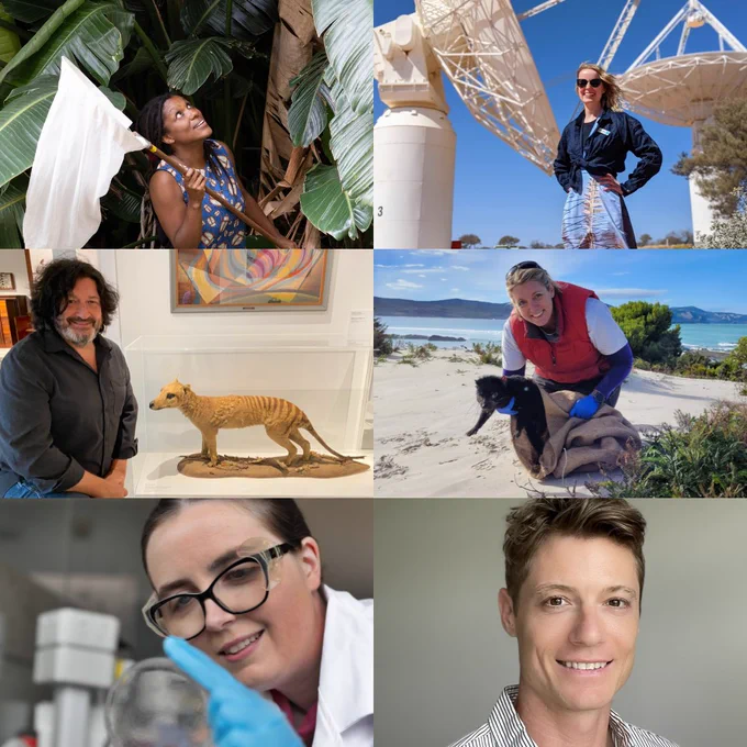 From left to right: Prof Tanya Latty, Dr Laura Driessen, Prof Dieter Hochuli. Prof Carolyn Hogg, Dr Taylor Szyszka and Dr Reuben Rideaux