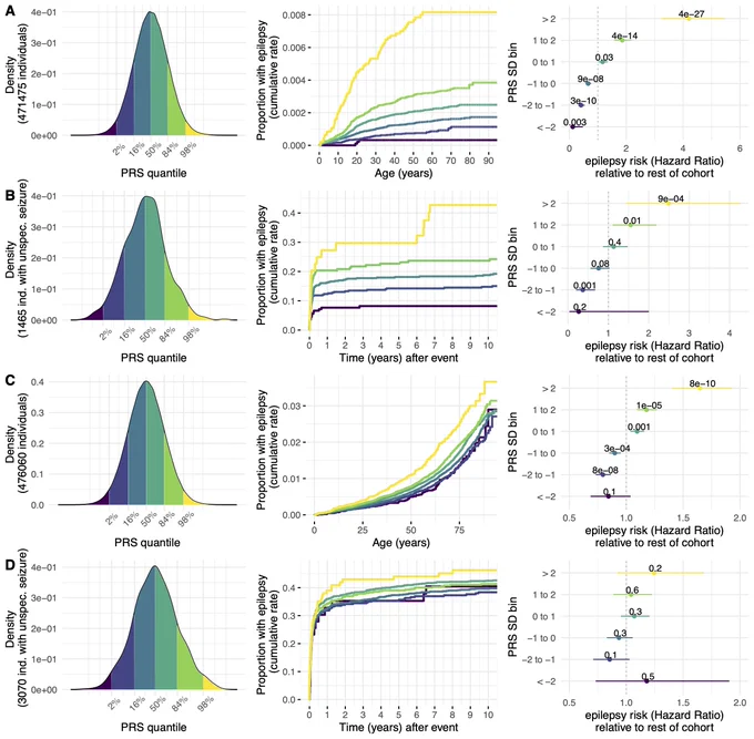 Fig. 3: In each panel, on the left are density curves that display how samples are partitioned into six bins of PRS standard deviations. Survival curves in the middle give the cumulative epilepsy incidence (y-axis) across time (x-axis [years]) stratified for epilepsy PRS bins. The rightmost forest plots show epilepsy risk of each epilepsy PRS bin compared with the rest of the cohort. (A) GGE (n = 924) across lifetime, (B) GGE (n = 266) after an unspecified seizure, (C) NAFE (n = 5509) across lifetime, (D) NAFE (n = 1290) after an unspecified seizure. In (A, B), we investigate PRS-GGE, in (C, D), PRS-NAFE. 