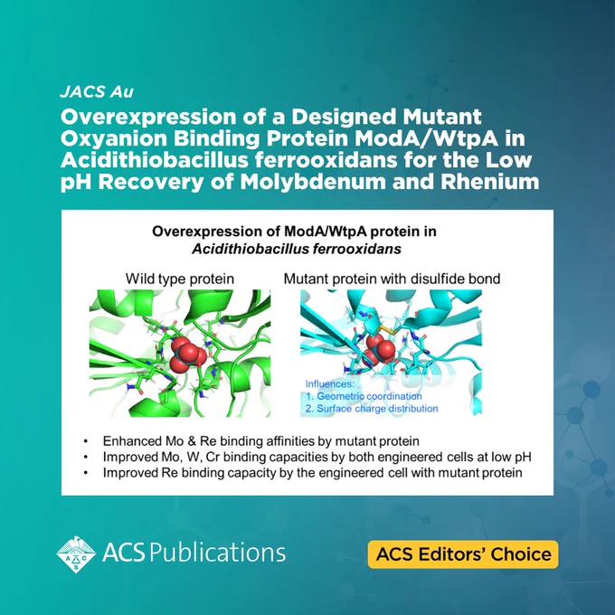 Turquoise background image with the journal name, article title, and diagram taken from the TOC
